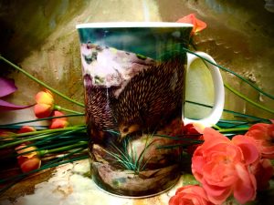 Ashdene of Australia Becher