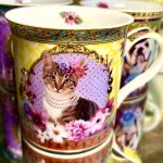 Set: 4 Becher