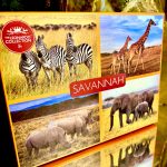 The Leonardo Collection Set: 4 Becher Savannah