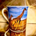 The Leonardo Collection Set: 4 Becher Savannah