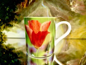 Tasse Queens by Churchill