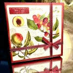 Set: 4 Tassen