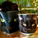 Tasse Katze + Schlüsselanhänger