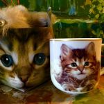 Tasse Katze + Schlüsselanhänger