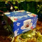 Gedeck 2 tlg. : Tasse + Untertasse