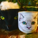 Tasse Katze + Schlüsselanhänger