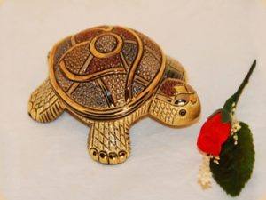 De Rosa Rinconada kleine Landschildkröte