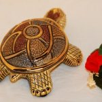 De Rosa Rinconada kleine Landschildkröte