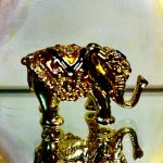 Pillendose Elefant