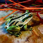 Pillendose Frosch