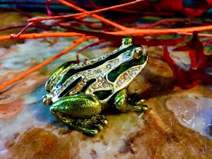 Pillendose Frosch