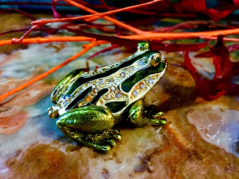 Pillendose Frosch