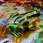 Pillendose Schmuckschatulle Frosch