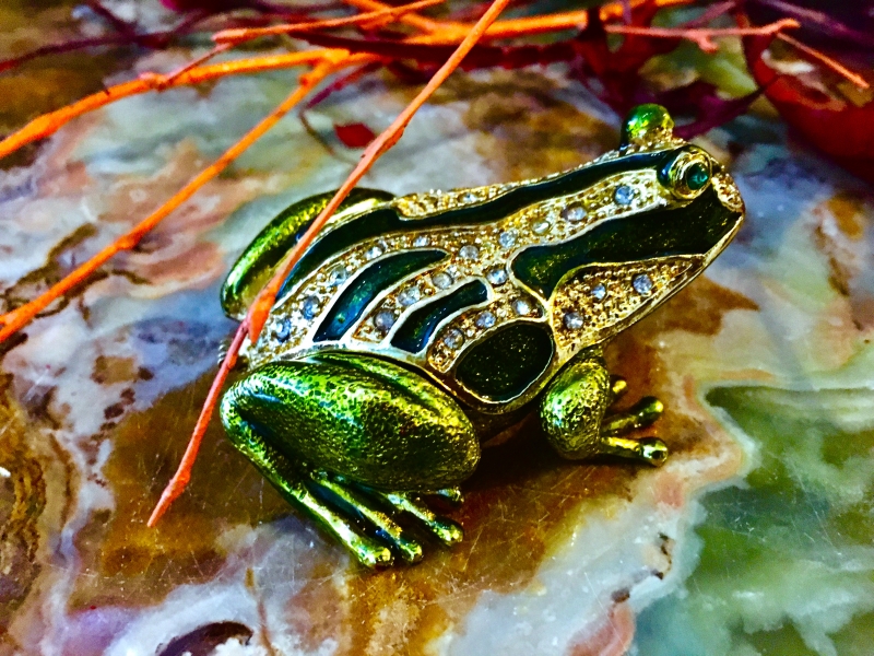 Pillendose Schmuckschatulle Frosch