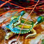 Pillendose Schmuckdose Schildkröten