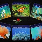 Ashdene of Australia Set: 6 Untersetzer